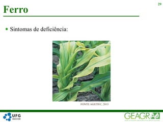  Sintomas de deficiência:
Ferro
29
FONTE:AGEITEC, 2013
 