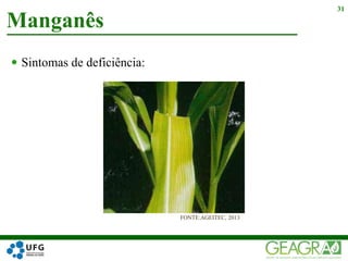  Sintomas de deficiência:
Manganês
31
FONTE:AGEITEC, 2013
 