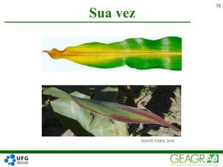 Sua vez
32
FONTE:YARA, 2018
 