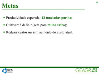  Produtividade esperada: 12 toneladas por ha;
 Cultivar: à definir (será para milho safra);
 Reduzir custos ou sem aumento do custo atual.
Metas
35
 