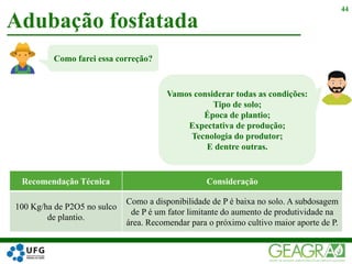 Adubação fosfatada
44
Recomendação Técnica Consideração
100 Kg/ha de P2O5 no sulco
de plantio.
Como a disponibilidade de P é baixa no solo. A subdosagem
de P é um fator limitante do aumento de produtividade na
área. Recomendar para o próximo cultivo maior aporte de P.
Como farei essa correção?
Vamos considerar todas as condições:
Tipo de solo;
Época de plantio;
Expectativa de produção;
Tecnologia do produtor;
E dentre outras.
 