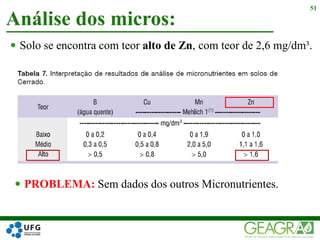 Análise dos micros:
51
 Solo se encontra com teor alto de Zn, com teor de 2,6 mg/dm³.
 PROBLEMA: Sem dados dos outros Micronutrientes.
 