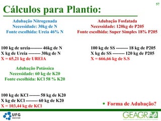 Cálculos para Plantio:
57
Adubação Nitrogenada
Necessidade: 30kg de N
Fonte escolhida: Ureia 46% N
100 kg de ureia-------- 46kg de N
X kg de Ureia -------- 30kg de N
X = 65,21 kg de UREIA
 Forma de Adubação?
Adubação Fosfatada
Necessidade: 120kg de P205
Fonte escolhida: Super Simples 18% P205
100 kg de SS -------- 18 kg de P205
X kg de SS -------- 120 kg de P205
X = 666,66 kg de S.S
Adubação Potássica
Necessidade: 60 kg de K20
Fonte escolhida: KCl 58 % K20
100 kg de KCl ------- 58 kg de K20
X kg de KCl -------- 60 kg de K20
X = 103,44 kg de KCl
 