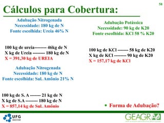 Cálculos para Cobertura:
58
Adubação Nitrogenada
Necessidade: 180 kg de N
Fonte escolhida: Ureia 46% N
100 kg de ureia-------- 46kg de N
X kg de Ureia -------- 180 kg de N
X = 391,30 kg de UREIA
 Forma de Adubação?
Adubação Potássica
Necessidade: 90 kg de K20
Fonte escolhida: KCl 58 % K20
100 kg de KCl ------- 58 kg de K20
X kg de KCl -------- 90 kg de K20
X = 157,17 kg de KCl
Adubação Nitrogenada
Necessidade: 180 kg de N
Fonte escolhida: Sul. Amônio 21% N
100 kg de S. A ------- 21 kg de N
X kg de S.A -------- 180 kg de N
X = 857,14 kg de Sul. Amônio
 