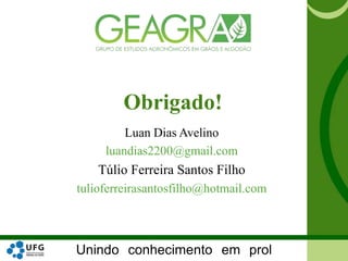 Unindo conhecimento em prol
Luan Dias Avelino
luandias2200@gmail.com
Túlio Ferreira Santos Filho
tulioferreirasantosfilho@hotmail.com
Obrigado!
 
