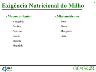 - Macronutrientes - Micronutrientes
Nitrogênio Boro
Fósforo Zinco
Potássio Manganês
Cálcio Ferro
Enxofre
Magnésio
Exigência Nutricional do Milho
9
 
