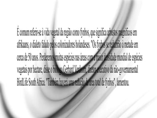 Écomumreferir-seàvidavegetaldaregiãocomofynbos,quesignificaarbustosmagníficosem
afrikaans,odialetofaladopeloscolonizadoresholandeses."Osfynbossereduzirãoàmetadeem
cercade50anos.Perderemosmuitasespéciesnasáreascomamaiordensidademundialdeespécies
vegetaisporhectare,disseobiólogoGerhardVerdoorn,diretor-executivodanão-governamental
BirdLifeSouthAfrica."Tambémhaveráumareduçãodaáreatotaldefynbos",lamentou.
 