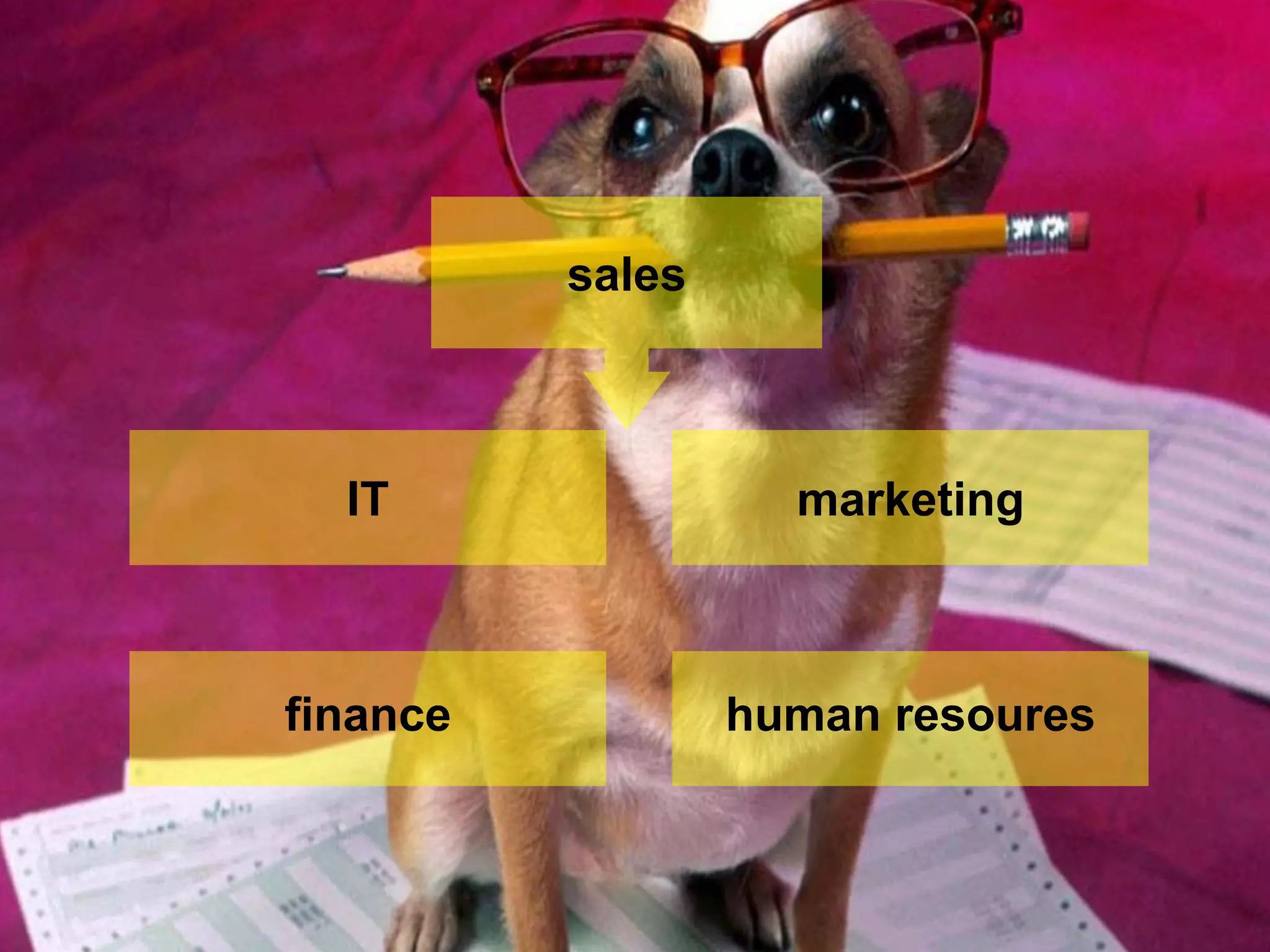 sales 
IT 
marketing 
finance 
human resoures  