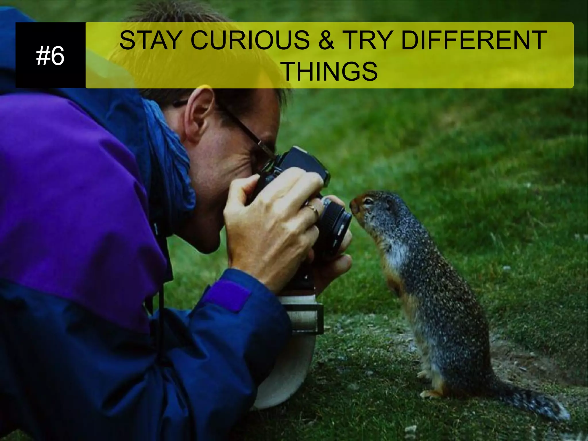 STAY CURIOUS & TRY DIFFERENT THINGS 
#6  