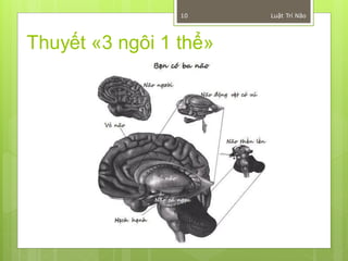10     Luật Trí Não




Thuyết «3 ngôi 1 thể»
 