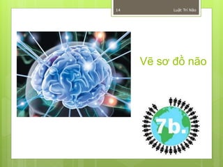 14         Luật Trí Não




     Vẽ sơ đồ não
 
