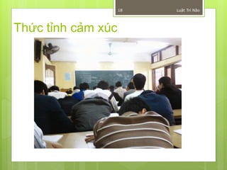 18   Luật Trí Não




Thức tỉnh cảm xúc
 