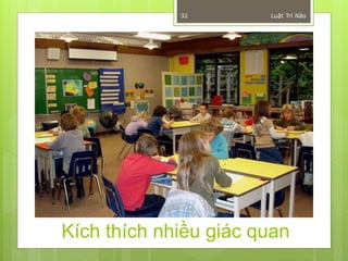 32        Luật Trí Não




Kích thích nhiều giác quan
 