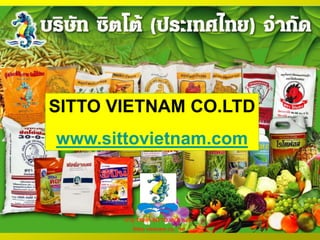 CTy TNHH SITTO ViÖt namSitto vietnam co.  ltdSITTO VIETNAM CO.LTDwww.sittovietnam.com