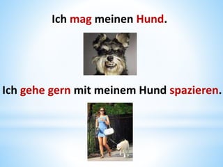 Ich mag meinen Hund.
Ich gehe gern mit meinem Hund spazieren.
 