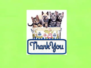 Insurance Outlined.pptx