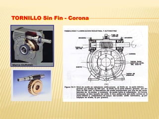 TORNILLO Sin Fin - Corona
 