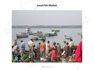 Local Fish Market www.mrnair.com 