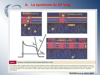 A. Le syndrome du QT long




                        TESTER D et al JACC 2007
 