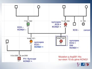 syncopes
                            ECG +
ECG –                    KCNQ1 +
KCNQ1 –                                   ECG -    cancer




                                       syncopes
              syncopes                 ECG +
              ECG -                    DAI
              KCNQ1 +                  KCNQ1 +



                              Mutation p.Arg591 His
    FV / Syncope              sur exon 15 du gène KCNQ1
    KCNQ1 +
 