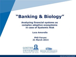 www.hof.uni-frankfurt.de/lemf/
“Banking & Biology”
.
Analyzing financial systems as
complex adaptive ecosystems
in case of Systemic Risk
Luca Amorello
PhD Forum:
21 March 2014
 