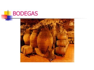 BODEGAS