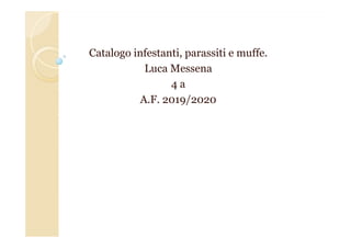 Catalogo infestanti, parassiti e muffe.
Luca Messena
4 a
A.F. 2019/2020
 