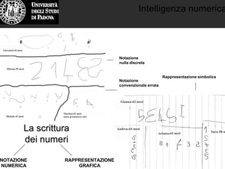 Intelligenza numerica
La scritturaLa scrittura
dei numeridei numeri
Notazione
nulla discreta
Notazione
convenzionale errata
Rappresentazione simbolica
NOTAZIONE
NUMERICA
RAPPRESENTAZIONE
GRAFICA
 