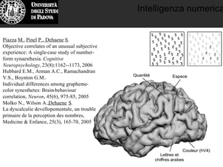 Intelligenza numerica
Piazza M., Pinel P., Dehaene S.
Objective correlates of an unusual subjective
experience: A single-case study of number-
form synaesthesia. Cognitive
Neuropsychology, 23(8):1162--1173, 2006
Hubbard E.M., Arman A.C., Ramachandran
V.S., Boynton G.M..
Individual differences among grapheme-
color synesthetes: Brain-behaviour
correlation, Neuron, 45(6), 975-85, 2005
Molko N., Wilson A.,Dehaene S.
La dyscalculie devellopementale, un trouble
primaire de la perception des nombres,
Medicine & Enfance, 25(3), 165-70, 2005
 