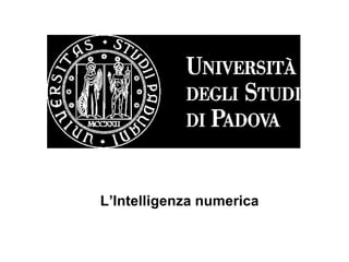 L’Intelligenza numerica
 