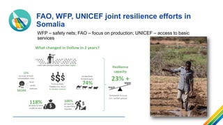 Preventing and addressing food crises through resilience
