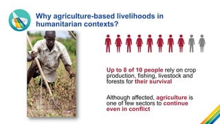 Preventing and addressing food crises through resilience