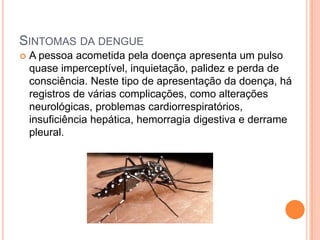 SINTOMAS DA DENGUE
   A pessoa acometida pela doença apresenta um pulso
    quase imperceptível, inquietação, palidez e perda de
    consciência. Neste tipo de apresentação da doença, há
    registros de várias complicações, como alterações
    neurológicas, problemas cardiorrespiratórios,
    insuficiência hepática, hemorragia digestiva e derrame
    pleural.
 