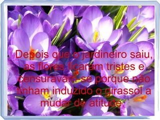 Depois que o jardineiro saiu,
as flores ficaram tristes e
censuravam-se porque não
tinham induzido o girassol a
mudar de atitude.

 