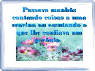 Passava manhãs
contando coisas a uma
cravina ou escutando o
que lhe confiava um
gerânio.

 