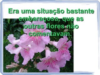 Era uma situação bastante
embaraçosa, que as
outras flores não
comentavam.

 