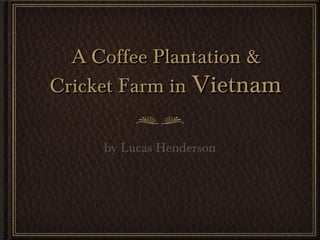 A Coffee Plantation &
Cricket Farm in Vietnam

     by Lucas Henderson
 
