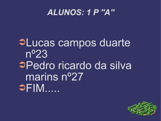 ALUNOS: 1 P ''A'' Lucas campos duarte nº23 Pedro ricardo da silva marins nº27 FIM..... 