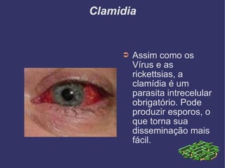 Clamidia Assim como os Vírus e as rickettsias, a clamídia é um parasita intrecelular obrigatório. Pode produzir esporos, o que torna sua disseminação mais fácil. 