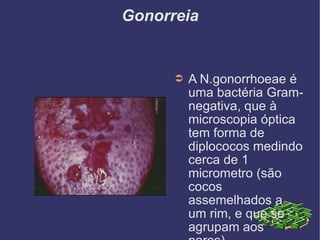 Gonorreia A N.gonorrhoeae é uma bactéria Gram-negativa, que à microscopia óptica tem forma de diplococos medindo cerca de 1 micrometro (são cocos assemelhados a um rim, e que se agrupam aos pares) 
