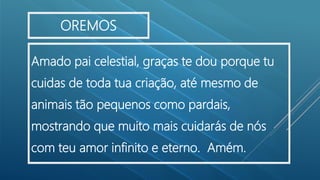 Amado pai celestial, graças te dou porque tu
cuidas de toda tua criação, até mesmo de
animais tão pequenos como pardais,
mostrando que muito mais cuidarás de nós
com teu amor infinito e eterno. Amém.
OREMOS
 