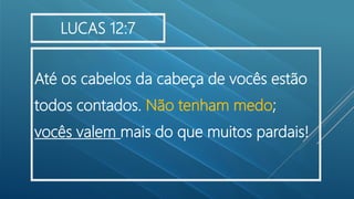Até os cabelos da cabeça de vocês estão
todos contados. Não tenham medo;
vocês valem mais do que muitos pardais!
LUCAS 12:7
 