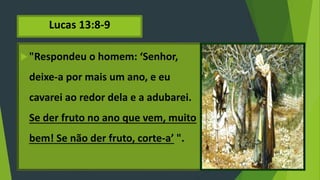 Lucas 13:8-9
"Respondeu o homem: ‘Senhor,
deixe-a por mais um ano, e eu
cavarei ao redor dela e a adubarei.
Se der fruto no ano que vem, muito
bem! Se não der fruto, corte-a’ ".
 