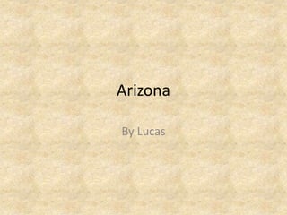 Arizona 
By Lucas 
 