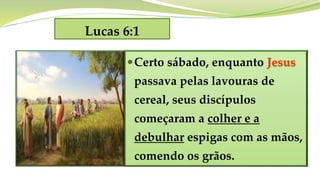 Lucas 6:1
Certo sábado, enquanto Jesus
passava pelas lavouras de
cereal, seus discípulos
começaram a colher e a
debulhar espigas com as mãos,
comendo os grãos.
 