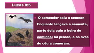 Lucas 8:5
 "O semeador saiu a semear.
Enquanto lançava a semente,
parte dela caiu à beira do
caminho; foi pisada, e as aves
do céu a comeram.
 