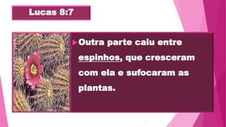 Lucas 8:7
Outra parte caiu entre
espinhos, que cresceram
com ela e sufocaram as
plantas.
 