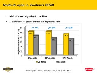 Modo de ação: L. buchneri 40788


 •   Melhoria na degradação da fibra:

    L. buchneri 40788 produz enzimas que degradam a fibra


                              p < 0,05                p < 0,05                 p < 0,05




                      Weinberg et al., 2007. J. Dairy Sci., v. 90, n. 10, p. 4754-4762.
 