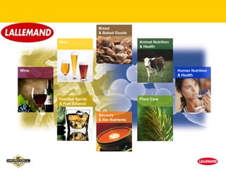 Bread
                           & Baked Goods

       Beer                                  Animal Nutrition
                                             & Health




Wine                                                            Human Nutrition
                                                                & Health




       Distilled Spirits                     Plant Care
       & Fuel Ethanol


                           Savoury
                           & Bio Nutrients
 