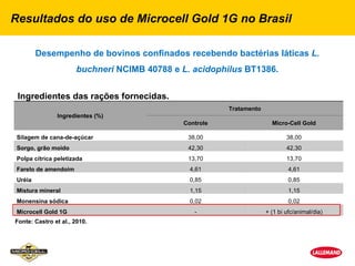 Resultados do uso de Microcell Gold 1G no Brasil

         Desempenho de bovinos confinados recebendo bactérias láticas L.
                       buchneri NCIMB 40788 e L. acidophilus BT1386.


 Ingredientes das rações fornecidas.
                                                         Tratamento
               Ingredientes (%)
                                              Controle                  Micro-Cell Gold

 Silagem de cana-de-açúcar                     38,00                          38,00
 Sorgo, grão moido                             42,30                          42,30
 Polpa cítrica peletizada                      13,70                          13,70
 Farelo de amendoim                             4,61                           4,61
 Uréia                                          0,85                           0,85
 Mistura mineral                                1,15                           1,15
 Monensina sódica                               0,02                           0,02
 Microcell Gold 1G                               -                    + (1 bi ufc/animal/dia)
Fonte: Castro et al., 2010.
 